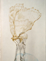 andreas hetfeld - drawings