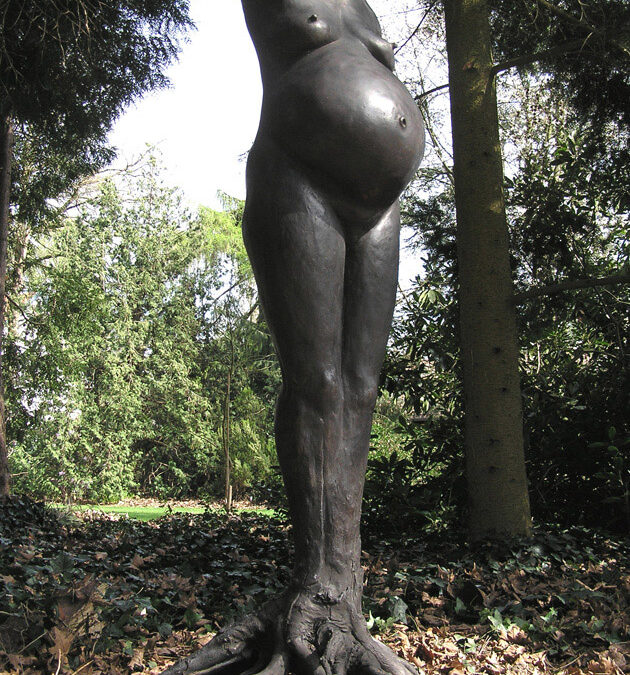 Levensboom